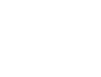 Logo Rio inclui com fundo branco e quadriculados cinza.